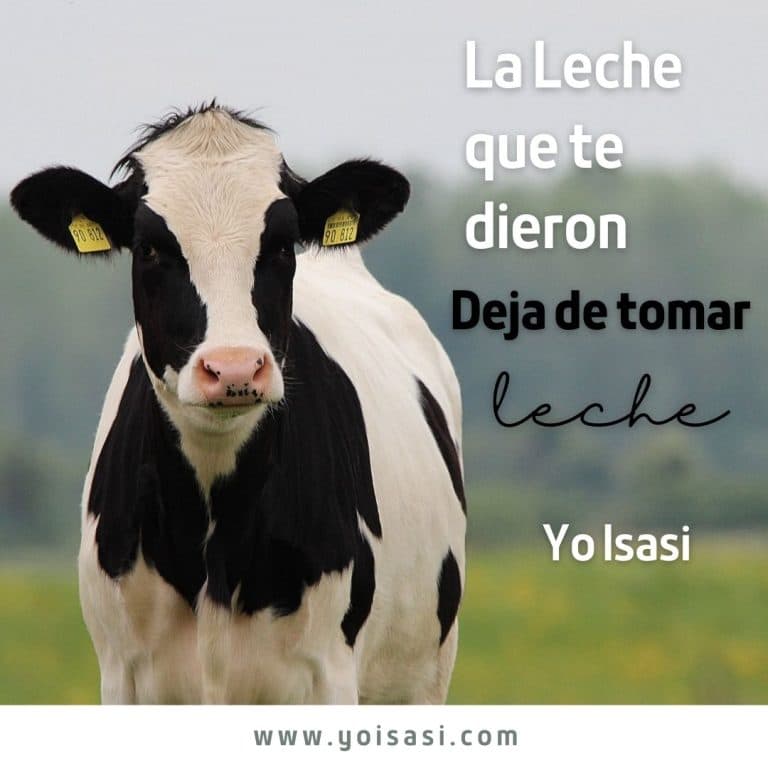 La Leche que te dieron. Deja de tomar Leche
